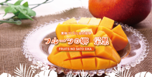 フルーツ（マンゴー）生産｜ホームページ制作