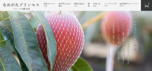 フルーツ（マンゴー）生産農園｜ネットショップ制作