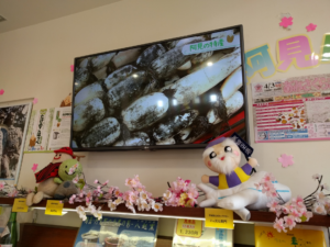 茨城県阿見町様のデジタルサイネージを設置しました。