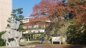 撮影日記　11月の動画の撮影（福井～北海道～千葉編）