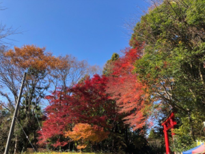 常陸大宮市へ撮影に行ってきました！
