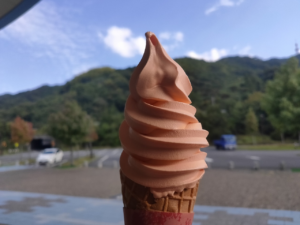 撮影日記　愛媛県へ動画の撮影に行ってきました