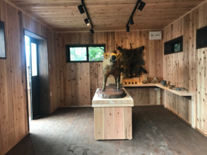 茨城県石岡市　動物園の看板制作をさせて頂きました②